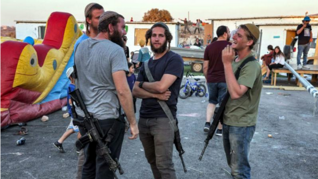 340 اعتداء للمستوطنين ضد قاطفي الزيتون بأسبوع