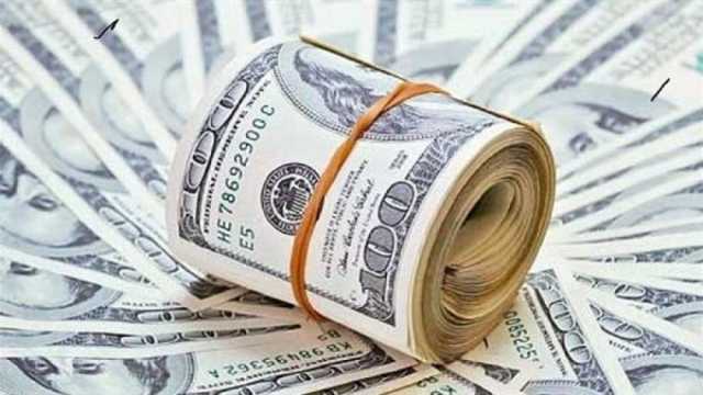 تحديث مباشر: سعر الدولار في البنوك المصرية اليوم الثلاثاء 29 يوليو 2025