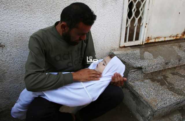 113 شهيدًا و534 مصابًا في غزة خلال 24 ساعة