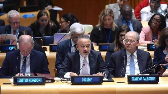 تركيا: استمرار الاحتلال أكبر عقبة أمام دولة فلسطين