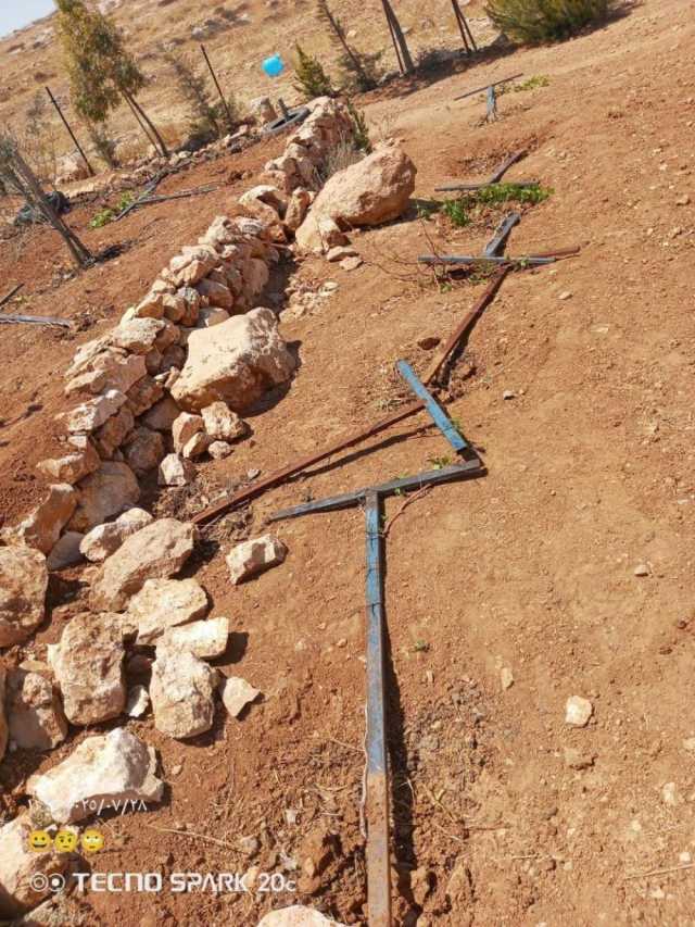 مستوطنون يخربون مزروعات الأهالي في “خلة الحمص' جنوب يطا
