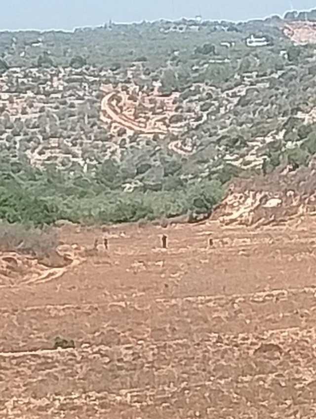 مستوطنون يوسعون بؤرة استيطانية في دير نظام برام الله