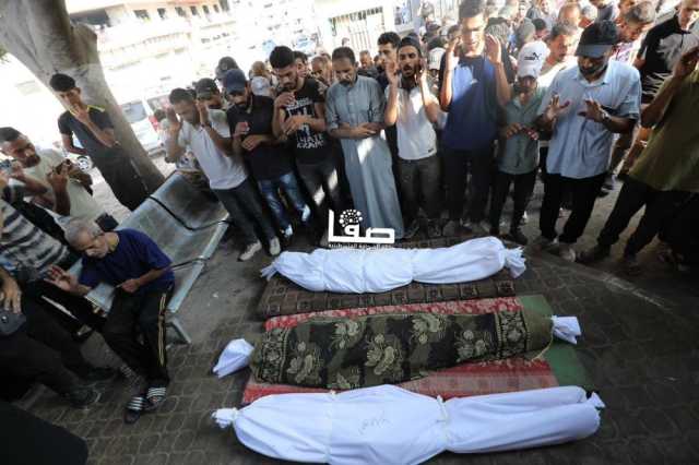 8 شهداء وعشرات المصابين بنيران الاحتلال في غزة