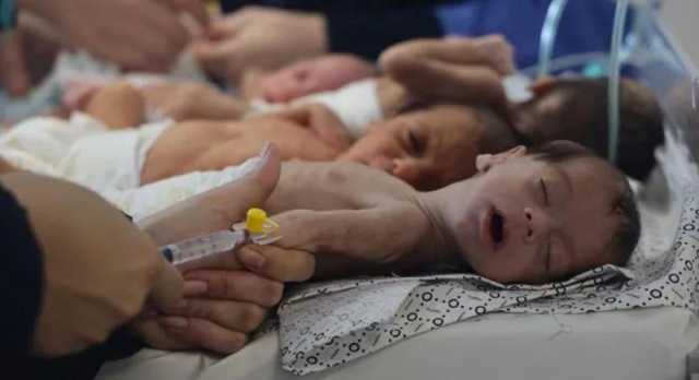 500 رضيع في مستشفيات غزة بسبب الجوع وسوء التغذية