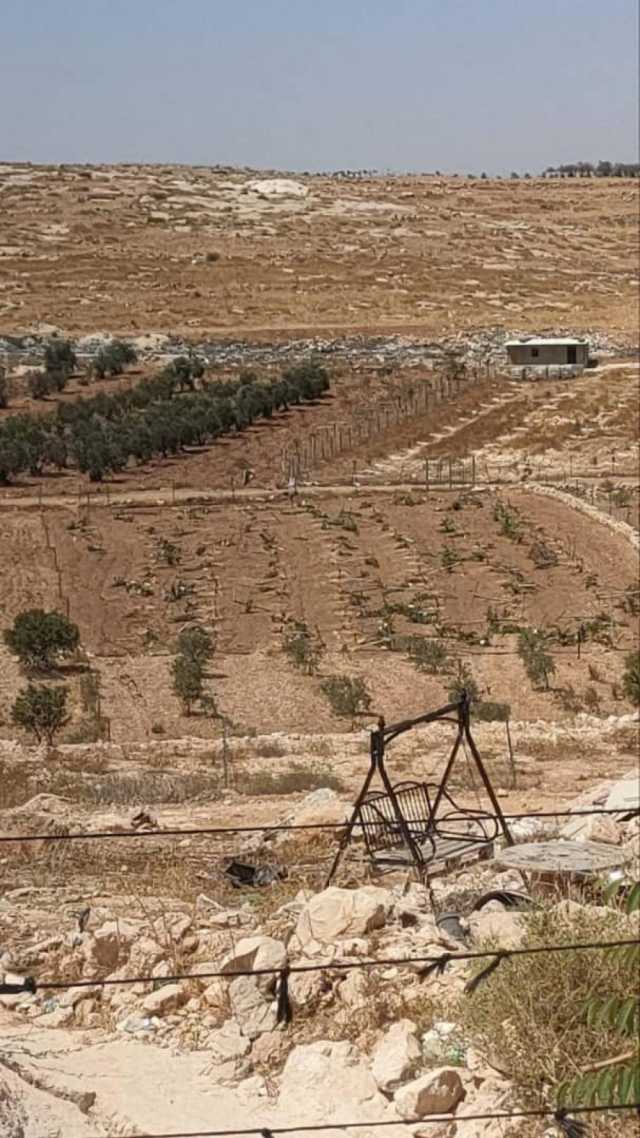 مستوطنون يقطعون أكثر من 100 كرمة عنب شرق يطا