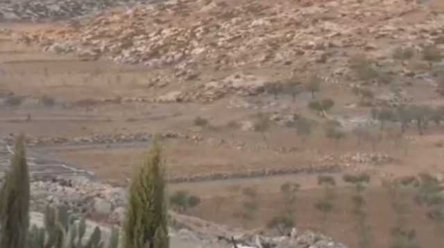 مستوطنون يطلقون أغنامهم ويمنعون وصول الأهالي للمياه بمسافر يطا