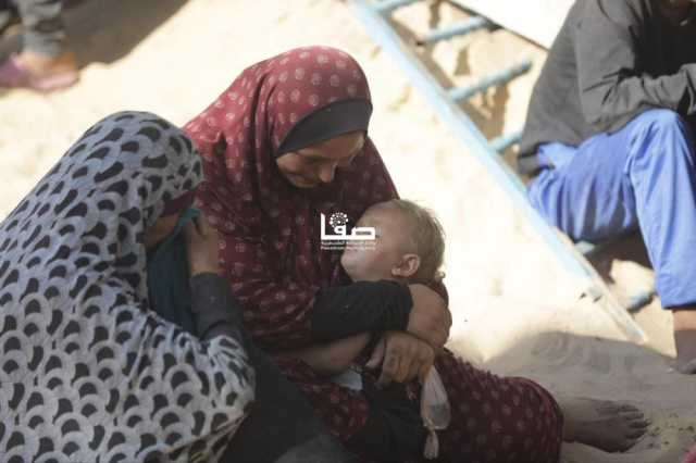 الصحة بغزة: 87 شهيدًا و644 إصابة خلال 24 ساعة