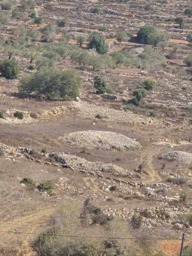 مستوطنون يقتحمون منزلًا في سنجل ويسرقون معدات كهربائية