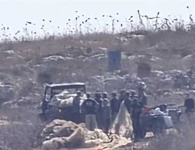 مستوطنون يسرقون الزيتون من أراضي دير أبو مشعل برام الله