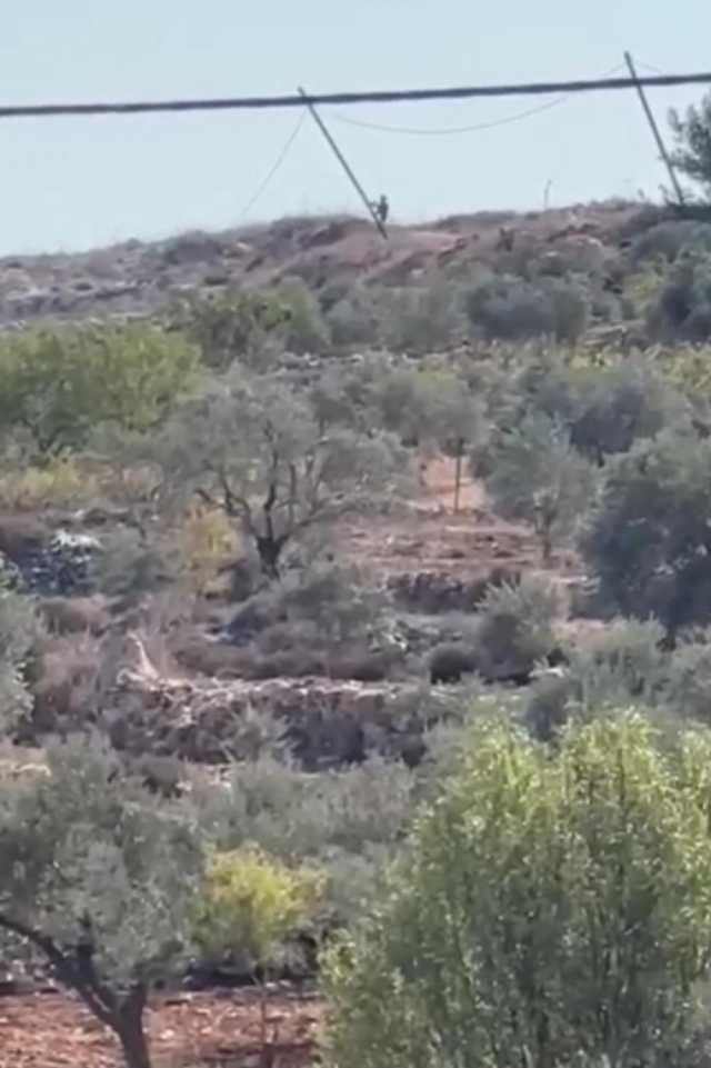 مستوطن يطلق النار على المزارعين في قصرة جنوب نابلس