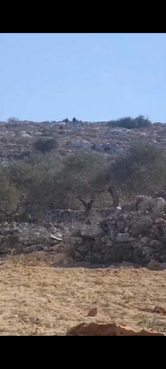 مستوطنون يلاحقون المزارعين في قماص جنوب نابلس