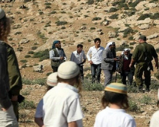 الاحتلال ومستوطنون يهاجمون قاطفي الزيتون جنوب نابلس