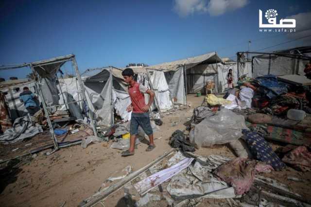 قاسم: نأمل استمرار وصمود اتفاق وقف إطلاق النار بغزة