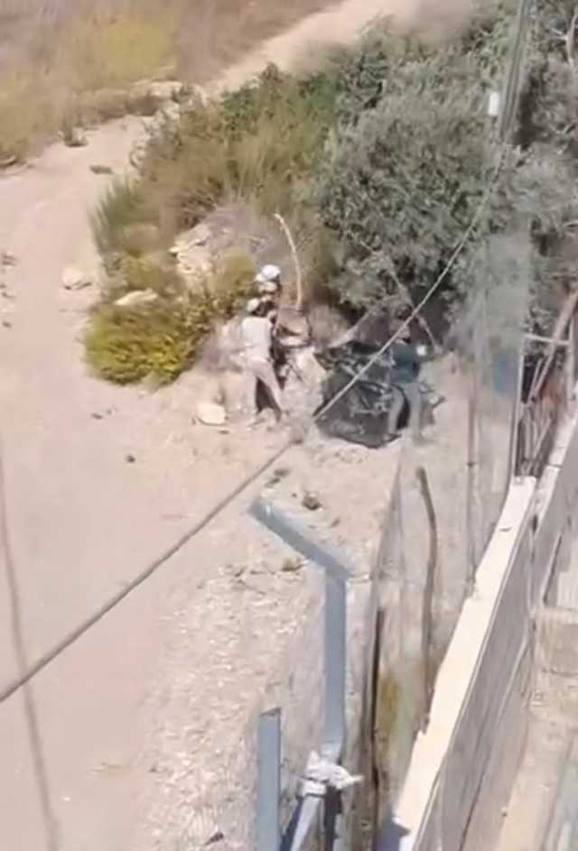 مستوطنون يسرقون ثمار الزيتون من أراضي بورين جنوب نابلس