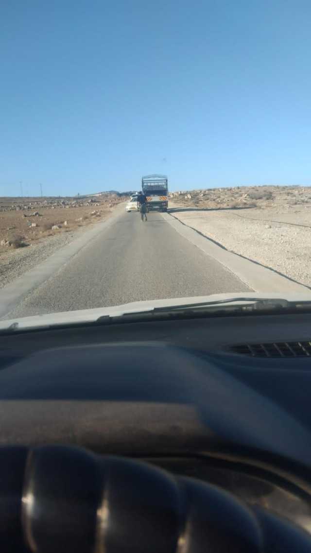 مستوطن يُغلق طريقًا رئيسًا شرق يطا ويُعيق حركة المواطنين