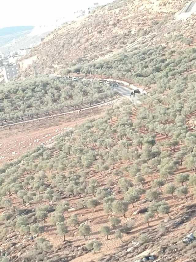 الاحتلال يحتجز مركبات المزارعين ويمنع وصولهم لأراضيهم جنوب نابلس