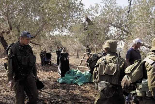'حماس' تدين اعتداء المستوطنين على فلسطينية خلال قطفها الزيتون برام الله وتدعو لحماية المزارعين