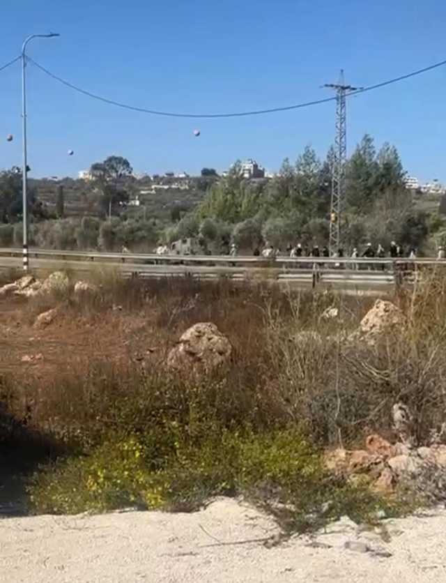 مستوطنون يطردون المزارعين من أراضيهم في سنجل شمال رام الله