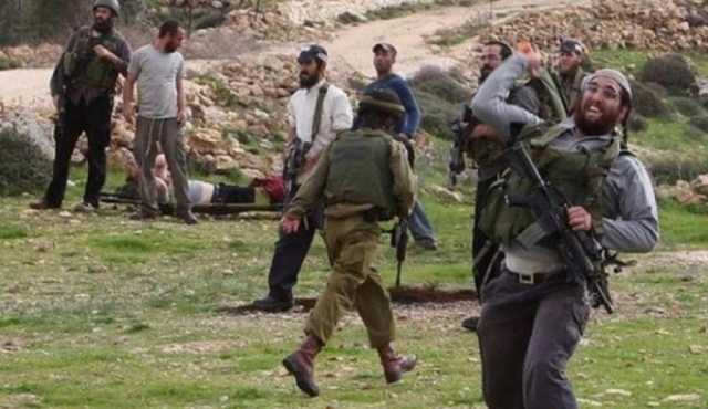 موسم الزيتون بالضفة.. 'جبهة حرب' تُقاوم بصمود المزارعين هجمات المستوطنين