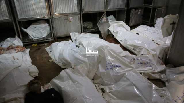 حماس: تصريحات المستشار الألماني تُؤكد حجم الدعم السياسي والعسكري لحرب الإبادة بغزة