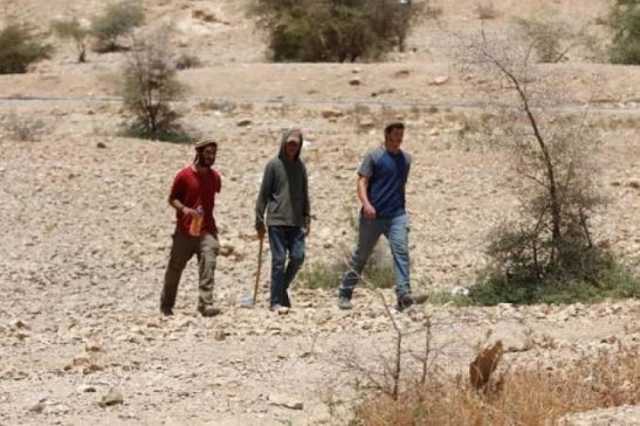 مستوطنين يقتحمون تل ماعين ببلدة يطا ويعتدون على المواطنين بالضرب