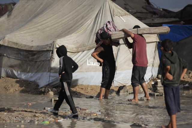 الصليب الأحمر لـ'صفا': الوضع الإنساني بغزة يُواجه تحديات والسكان بحاجة ماسة للمأوى