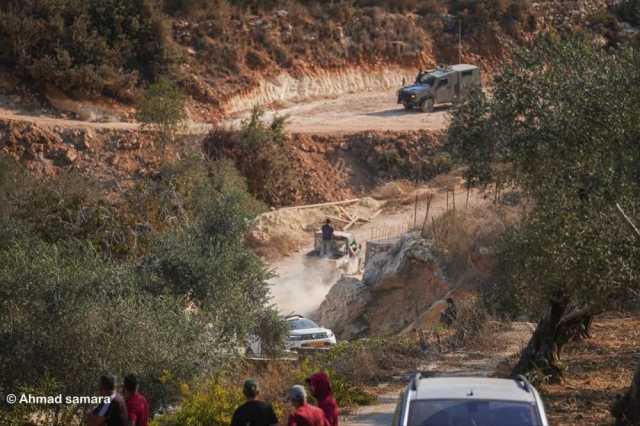 مستوطنون يعتدون على شاب ووالدته جنوب سلفيت ويسرقون الزيتون