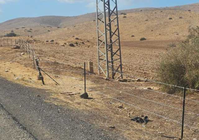 مستوطنون يواصلون تسييج أراض بالأغوار الشمالية