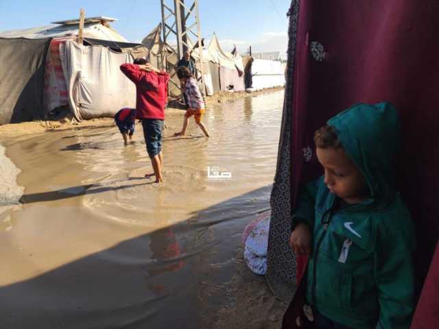 محذرًا من اعتبارها 'حلًا'.. الثوابتة لـ'صفا': توفير الخيام تبسيط خطير للمشهد