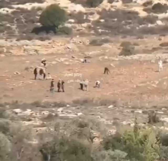 مستوطنون يقتحمون شمال سنجل برام الله لحراثة الأراضي