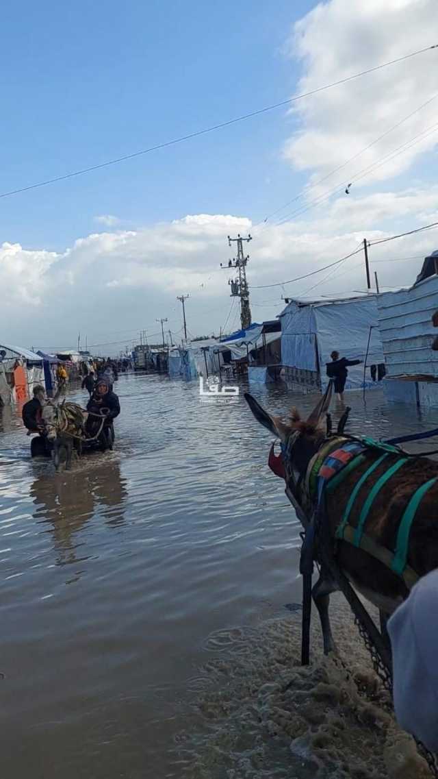المجلس الوطني: ما يتعرص له أهالي غزة كارثة إنسانية مركبة