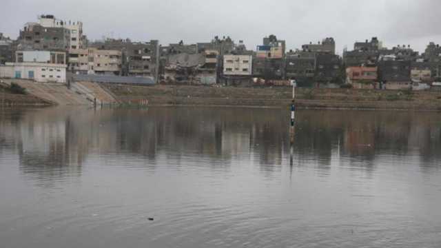 بلدية غزة لصفا: بركة الشيخ رضوان باتت مكرهة صحية وخطر حقيقي على المواطنين