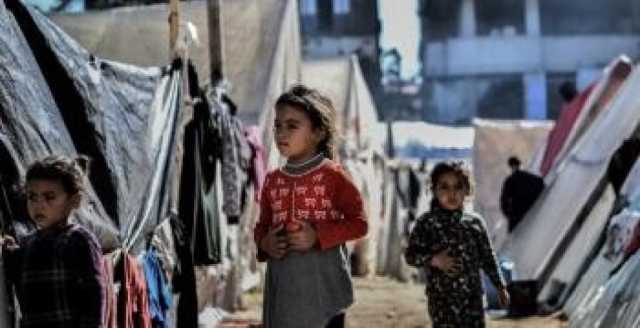 رابط تسجيل ايتام غزة 2025.. تعبئة بيانات ايتام الحرب في معهد الامل للايتام