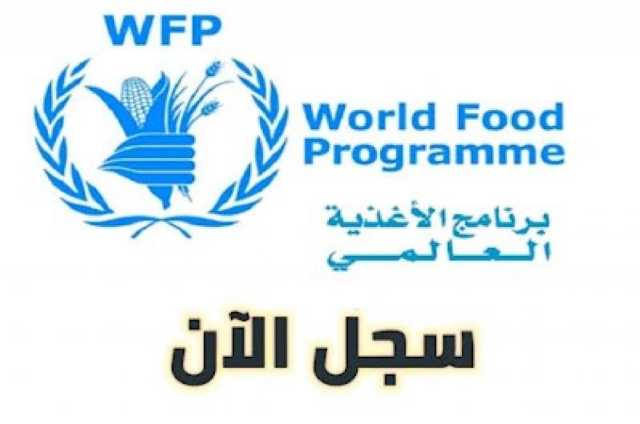 رابط التسجيل للمساعدات المالية والغذائية بغزة.. برنامج الغذاء العالمي WFP