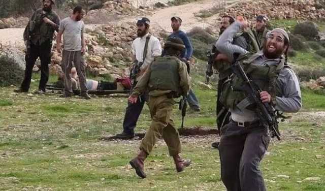 مستوطنون يهاجمون المزارعين في بيتا جنوب نابلس