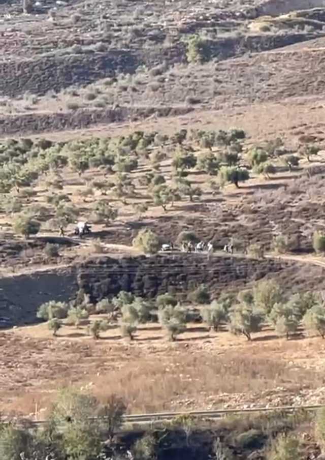 مستوطنون يطردون المزارعين من أراضيهم في بورين جنوب نابلس