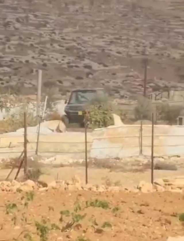 مستوطنون يقتحمون 'شعب البطم' و'تلّ ماعين' الأثري شرقي يطا