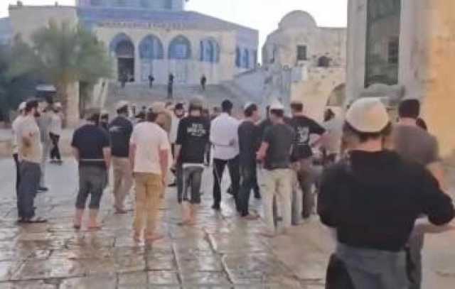 96 مستوطنًا يقتحمون باحات الأقصى