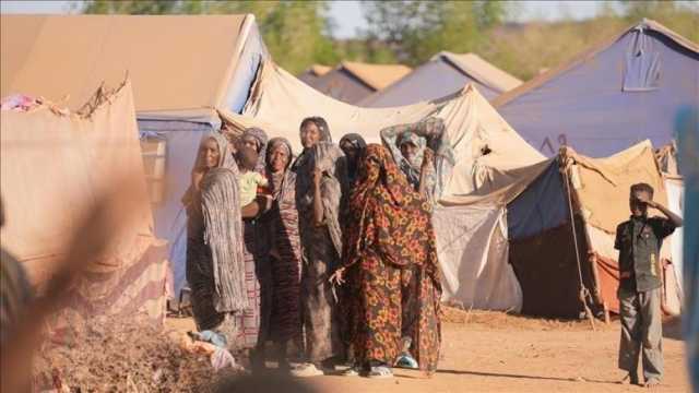 الهجرة الدولية : 775 نازحًا من ولايتين بالسودان جراء 'انعدام الأمن