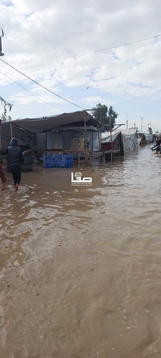 التنمية بغزة تطالب بتفعيل حالة الطوارئ وتقديم الإغاثة للنازحين