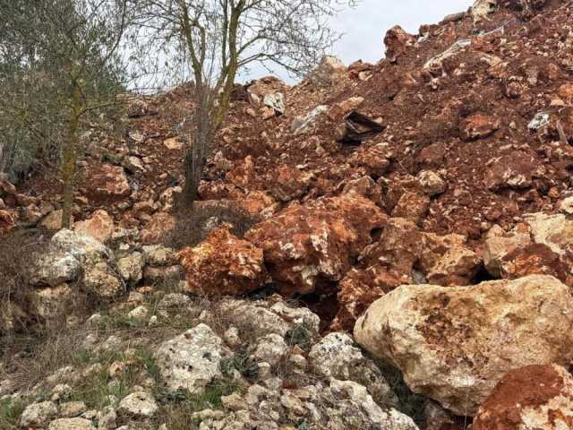 الاحتلال يُجرف مئات أشجار الزيتون في سهل ترمسعيا شمال رام الله