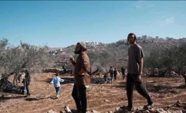 مستوطنون يعتدون على أراضي زراعية شرق القدس