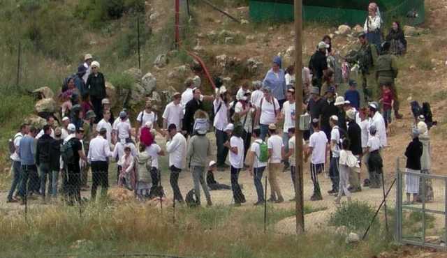 نهب أراضي وتفتيش منازل.. المستوطنون يكثفون اعتداءاتهم في القدس والضفة