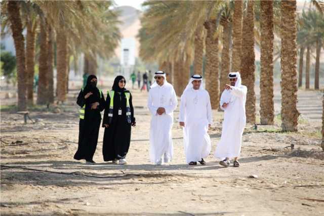 بلدية العين تطبق “الري تحت السطحي” لتقليل الهدر في ري الأشجار
