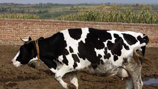 كوب28 يوجه الأنظار إلى انبعاثات غاز الميثان