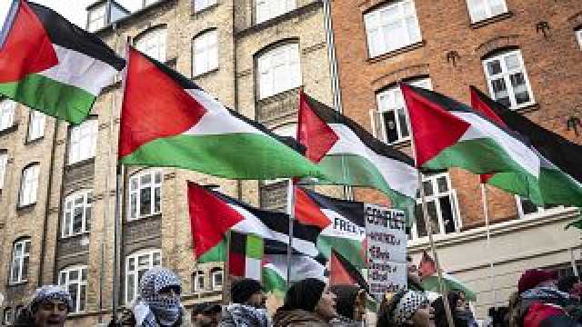 شاهد: كيف يجمع نشطاء البيئة بين القضية الفلسطينية وعدالة المناخ في الدنمارك؟