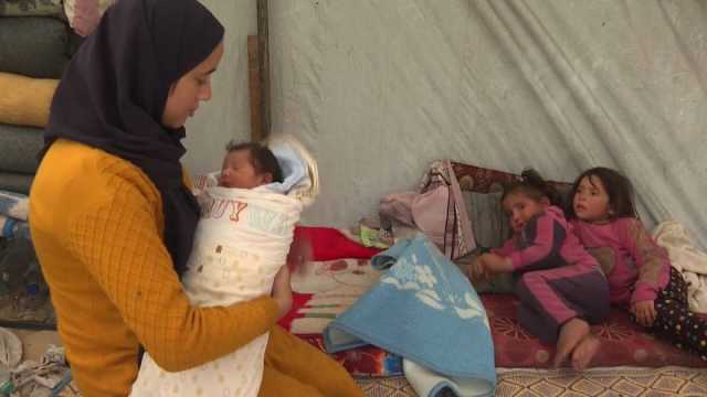 فيديو: 5 أشهر كاملة من الحرب على غزة.. إسرائيل تستخدم التجويع كسلاح ومشاهد كارثية للنازحين والجوعى