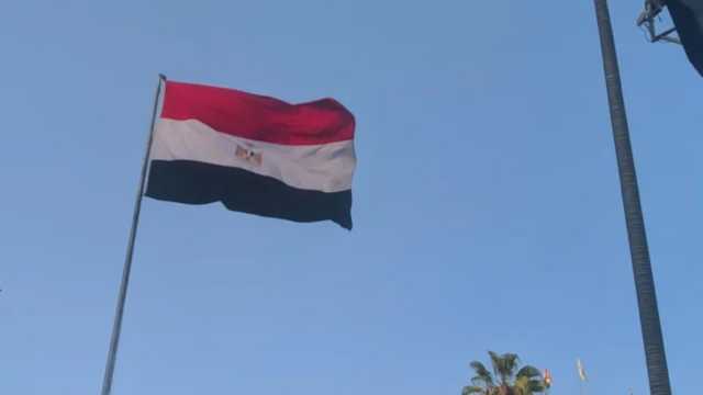 خلافات عائلية تتحوّل إلى مأساة: مقتل سيدة على يد زوج ابنتها في مصر
