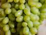 فوائد العنب الأخضر للإمساك 