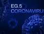 فيروس إي جي 5: الأعراض، طرق العلاج